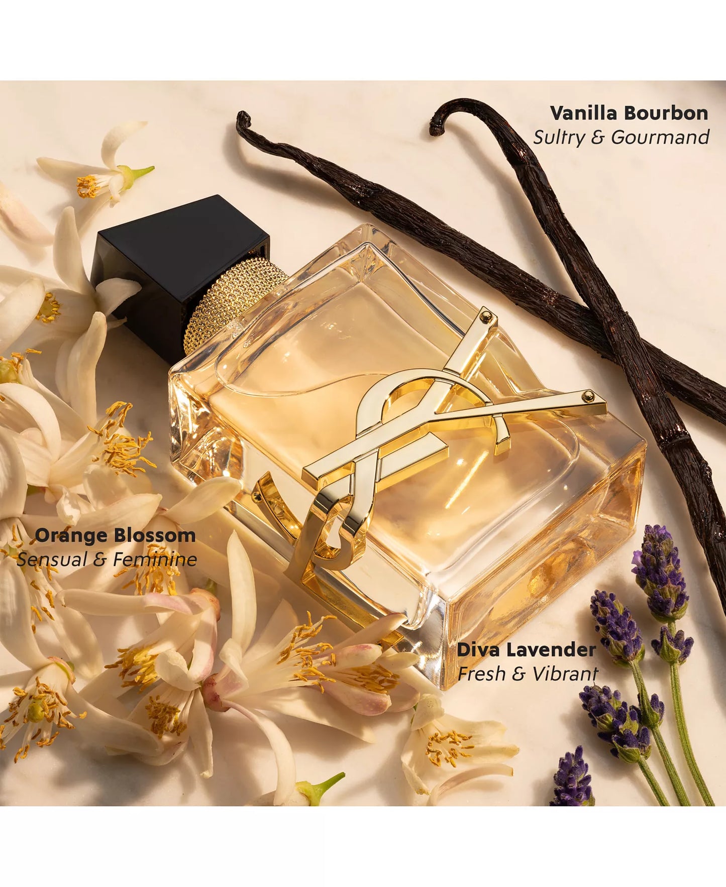 Libre Eau de Parfum YSL Spray - MANOUNE Belly_Jewelry Earrings - Navel_Ring - Necklace - Stud - Manoune_Jewelry - Belly_Ring - Navel_Jewelry Titanium Gold_Plated